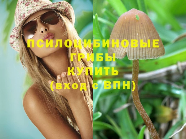 COCAINE Богданович